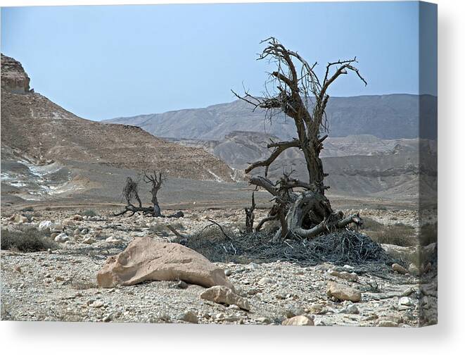 Israel Canvas Print featuring the photograph Into the Israel Desert - 3 by Dubi Roman