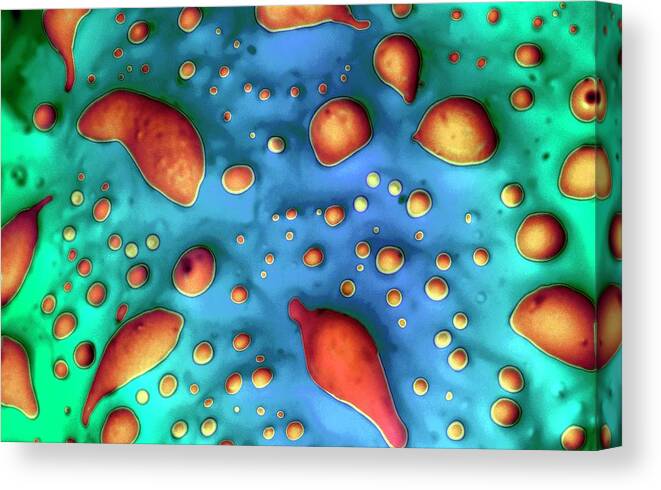 Nobody Canvas Print featuring the photograph Iris Pollen by Louise Hughes