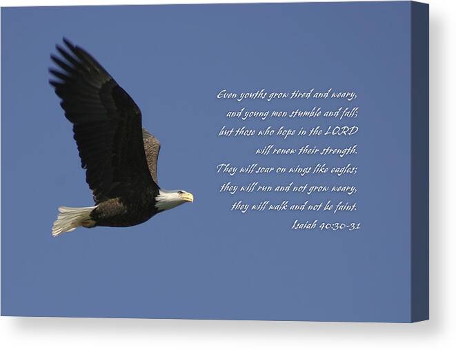 Isaiah 40:30-31 Canvas Print featuring the photograph Isaiah 40 by CE Haynes