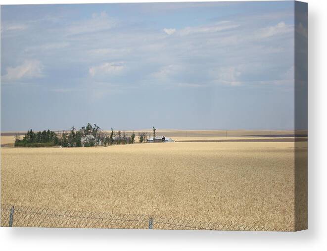 Wheat Fields Canvas Print featuring the photograph Island in Wheat Field by Susan Woodward