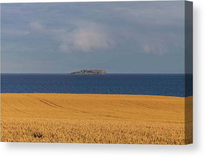 Tranquility Canvas Print featuring the photograph Isle Of May With Barley In The by Diane Macdonald