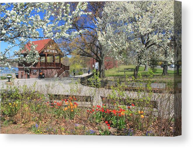 Boston Canvas Print featuring the photograph Jamaica Pond Boston in Spring by John Burk