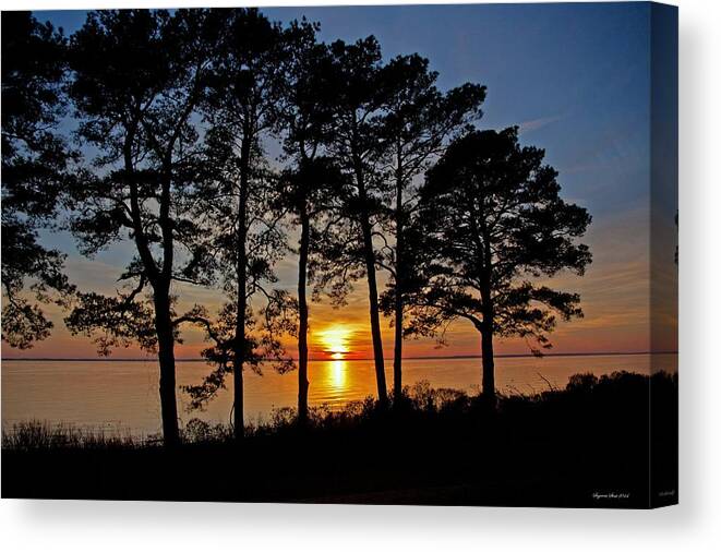Newport News Canvas Print featuring the photograph James River Sunset by Suzanne Stout
