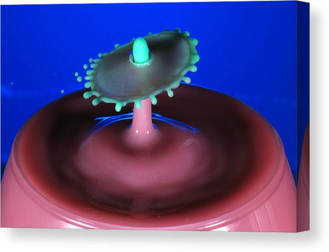 Water Drops Canvas Print featuring the photograph Jelly Bean by Kevin Desrosiers