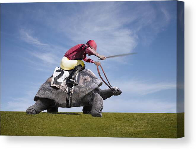 Sports Helmet Canvas Print featuring the photograph Jockey over a turtle by Buena Vista Images