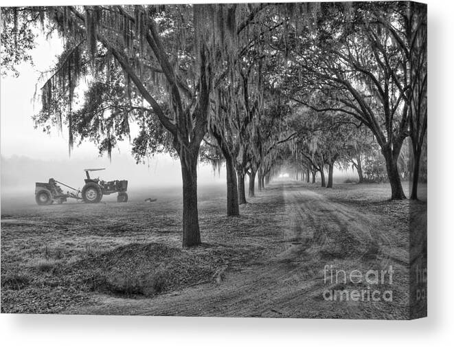 Low Canvas Print featuring the photograph John Deer Tractor and the Avenue of Oaks by Scott Hansen