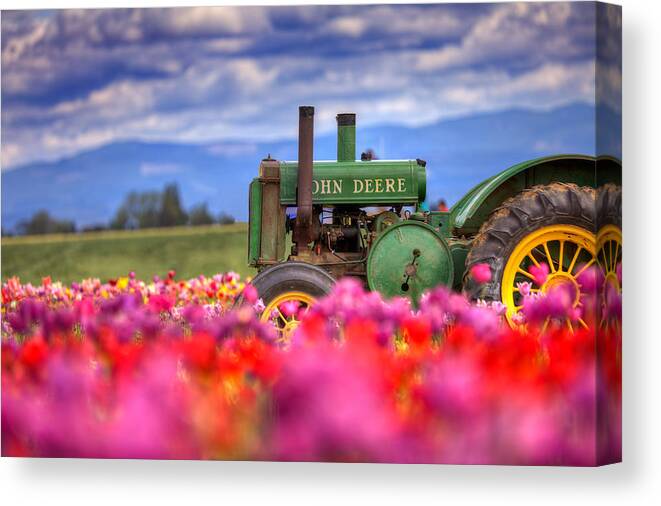 John Canvas Print featuring the photograph John Deere in the Tulips by Joseph Bowman