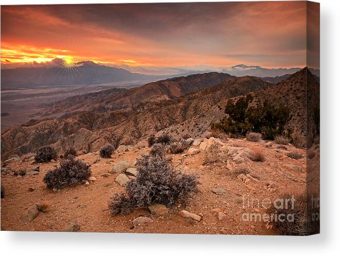 Joshua Tree National Park Canvas Print featuring the photograph Joshua Tree National Park Keys View Sunset by Charline Xia