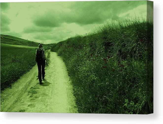 Road Canvas Print featuring the photograph Journey of Life by HweeYen Ong