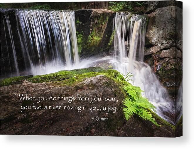 Rumi Canvas Print featuring the photograph Joy by Bill Wakeley