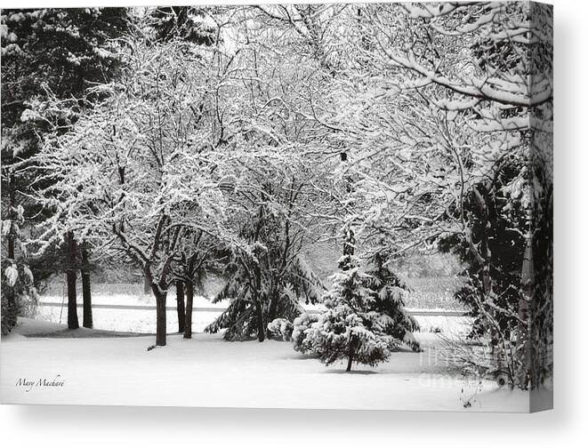 Just After A Snowfall Canvas Print featuring the photograph Just After a Snowfall by Mary Machare