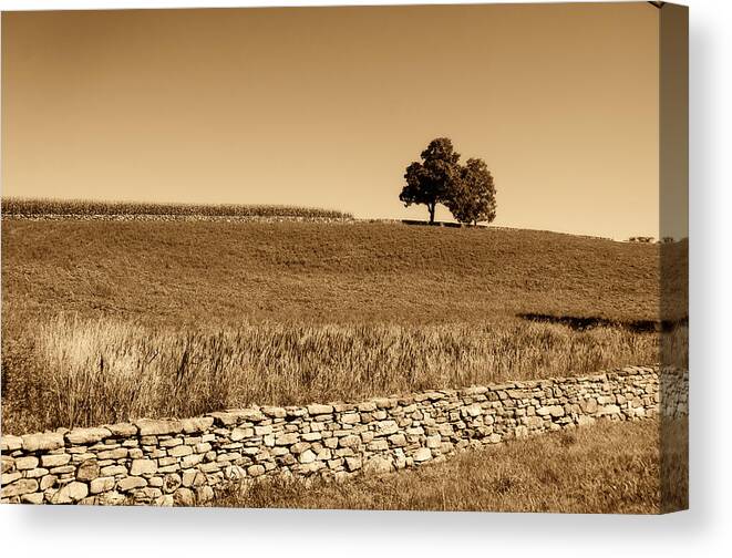 Trees Canvas Print featuring the photograph Just the Two of Us by Donna Doherty