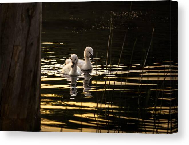 Children's Room Canvas Print featuring the photograph Just The Two Of Us by Peter Scott