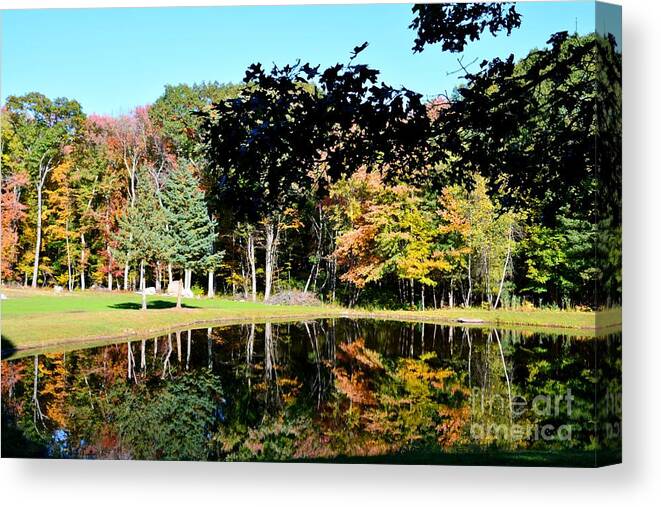 Foster Canvas Print featuring the photograph Kaleidoscope Pond by Lisa Kilby