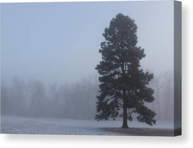 Landscape Canvas Print featuring the photograph Ketring Park Tree by Bill Wiebesiek