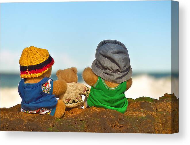 Teddy Bear Photography Canvas Print featuring the photograph Kevs Teddys 012 by Kevin Chippindall
