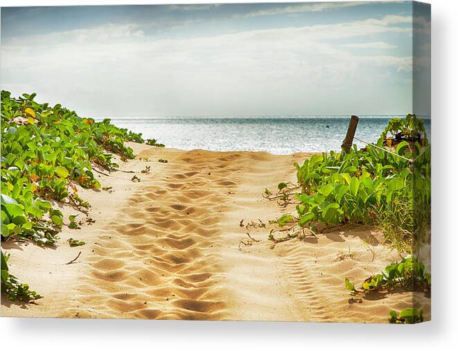 Theresa Tahara Canvas Print featuring the photograph Kihei Maui Beach Path by Theresa Tahara