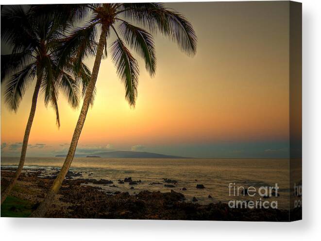 Kihei Canvas Print featuring the photograph Kihei Palm Sunrise by Kelly Wade