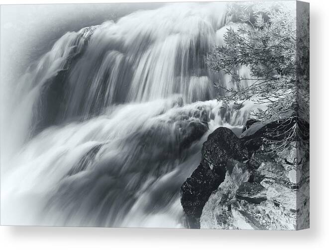 Nature Canvas Print featuring the photograph King Creek Falls by Jonathan Nguyen