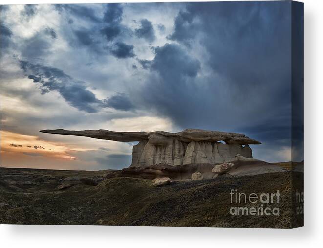 Adventure Canvas Print featuring the photograph King of Wings by Peter Dang