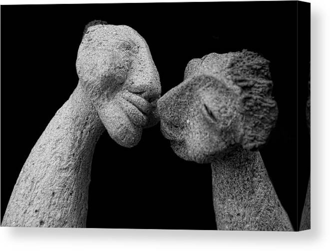 Love Canvas Print featuring the photograph Kiss by Paulo Goncalves