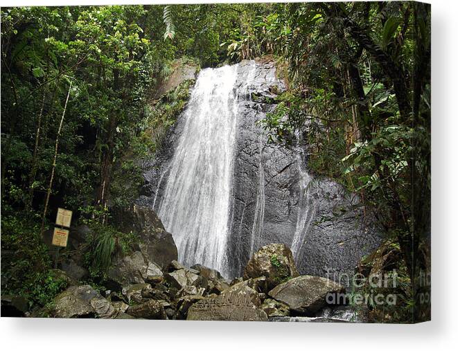 Travelpixpro Puerto Rico Canvas Print featuring the photograph La Coca Falls El Yunque National Rainforest Puerto Rico Print by Shawn O'Brien
