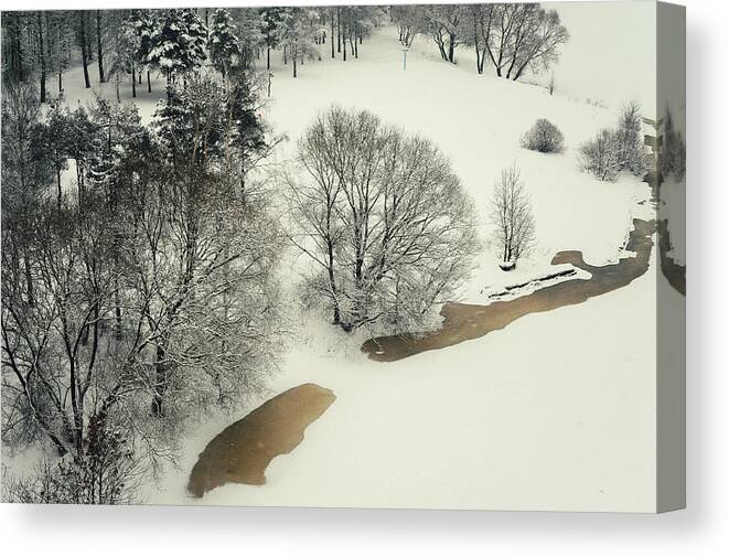 Winter Canvas Print featuring the photograph Lacy Winter 5 by Jenny Rainbow