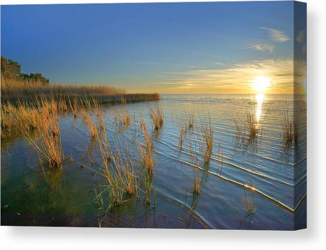Tim Fitzharris Canvas Print featuring the photograph Lake Pontchartrain At Sunset Louisiana by Tim Fitzharris