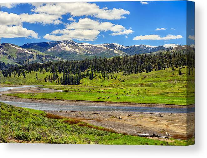 Yellowstone Canvas Print featuring the photograph Lamar Valley by Greg Norrell
