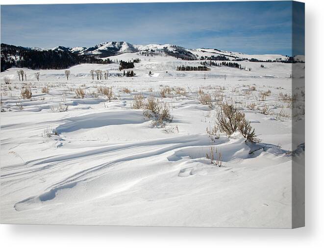 Lamar Valley Canvas Print featuring the photograph Lamar Valley Winter Scenic by Jack Bell