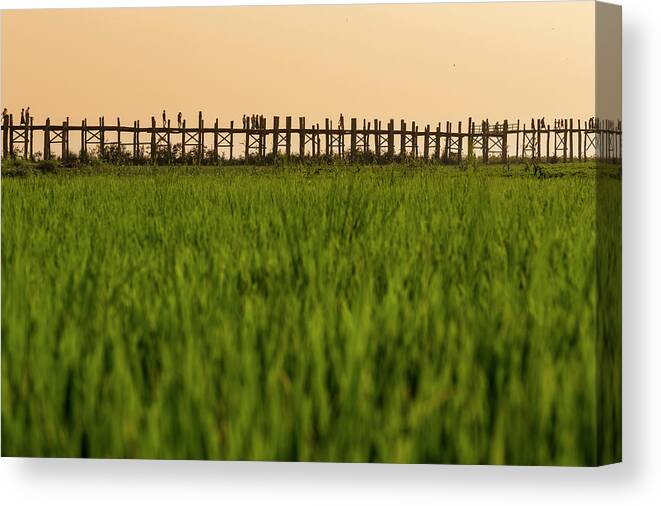 Built Structure Canvas Print featuring the photograph Large Rice Paddy Below U Bein Bridge by Merten Snijders