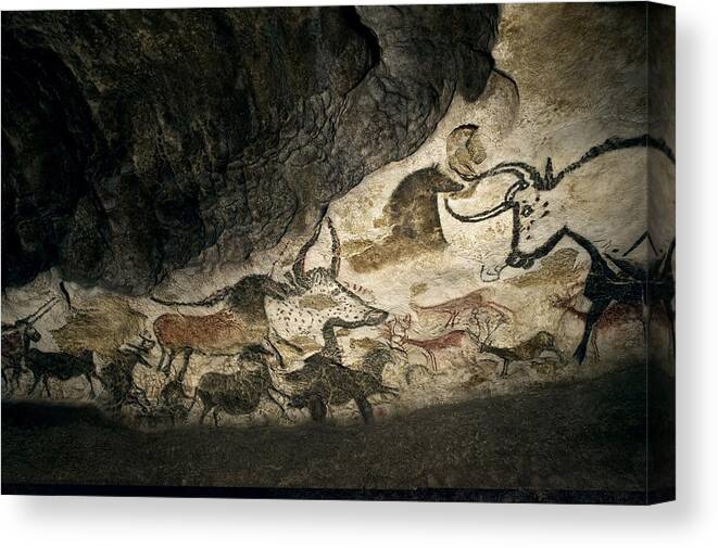 Cave Painting Canvas Print featuring the photograph Lascaux II cave painting replica by Science Photo Library