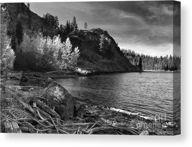 Aspens Canvas Print featuring the photograph Last Light Before The Storm by James Eddy