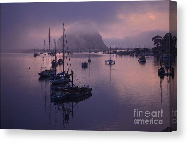  Morro Bay Photographs Canvas Print featuring the photograph Lavender Mist by Johanne Peale