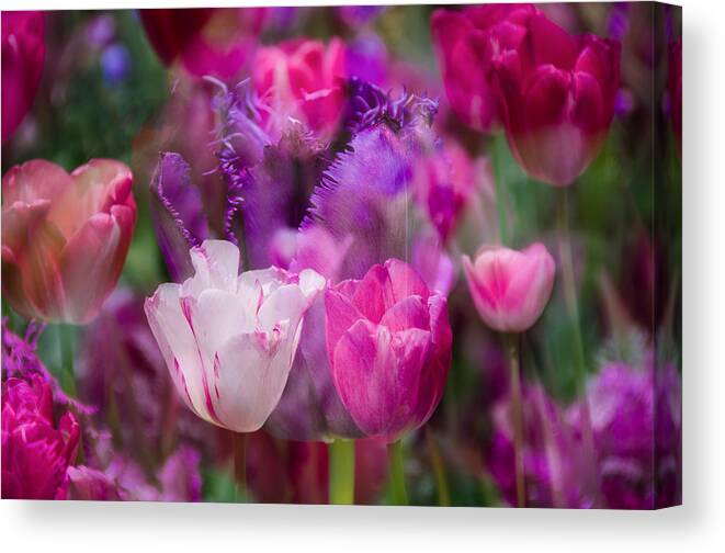 Penny Lisowski Canvas Print featuring the photograph Layers of Tulips by Penny Lisowski