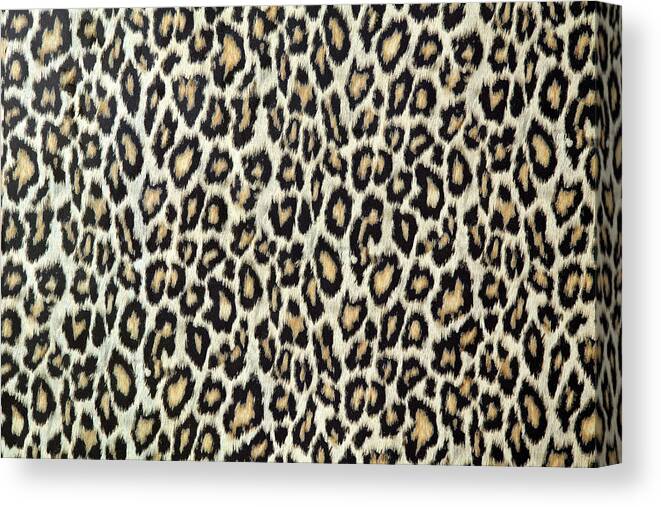 Tropical Rainforest Canvas Print featuring the photograph Leopard Skin Texture Or Fabric by S-cphoto