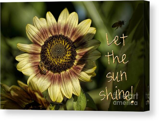 Gold Canvas Print featuring the photograph Let the Sun Shine by Peggy Hughes