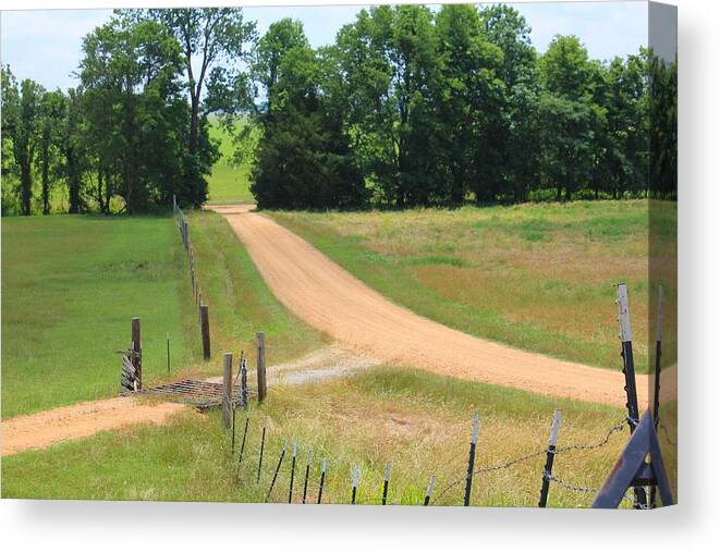 Levee Canvas Print featuring the photograph Levee Roads by Karen Wagner