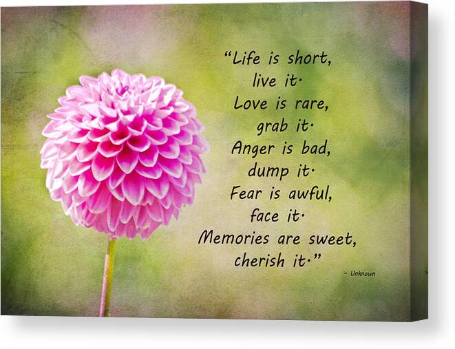 Quote Canvas Print featuring the mixed media Life Is Short by Trish Tritz