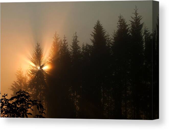 Landscape Canvas Print featuring the photograph Light Burst by Lisa Chorny