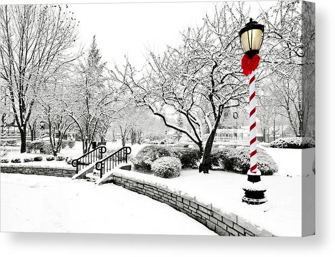 Winter Canvas Print featuring the photograph Light in Winter by Patty Colabuono