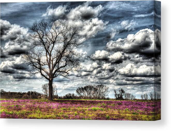 Limitless Love Canvas Print featuring the photograph Limitless Love by William Fields