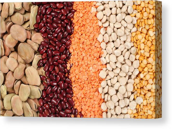 Pulses Canvas Print featuring the photograph Line-up of pulses by Paul Cowan