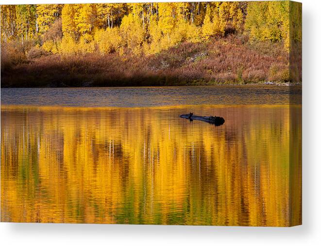 Autumn Colors Canvas Print featuring the photograph Liquid Gold by Jim Garrison