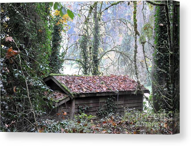 Cabin Canvas Print featuring the photograph Little Cabin in the Woods by Tatyana Searcy