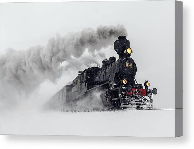 Train Canvas Print featuring the photograph Little-jumbo by 