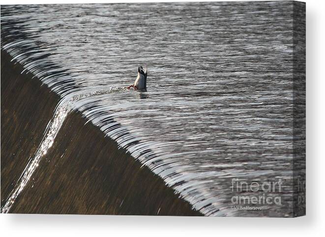 Duck Canvas Print featuring the photograph Living Life on the Edge by Veronica Batterson