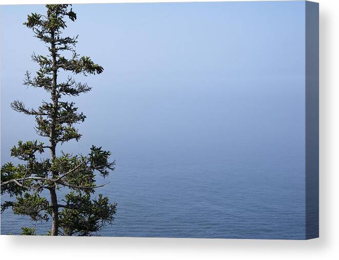 Art Canvas Print featuring the photograph Lone Tree by the Water in Acadia National Park by Randall Nyhof