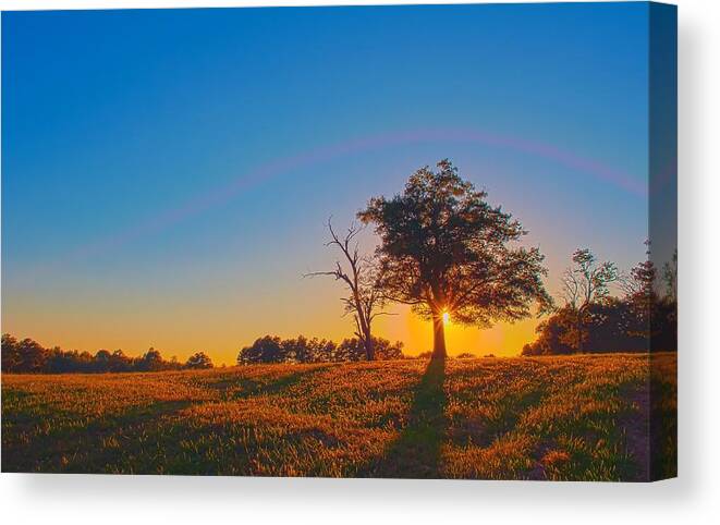 Agriculture Canvas Print featuring the photograph Lonely Tree On Farmland At Sunset by Alex Grichenko