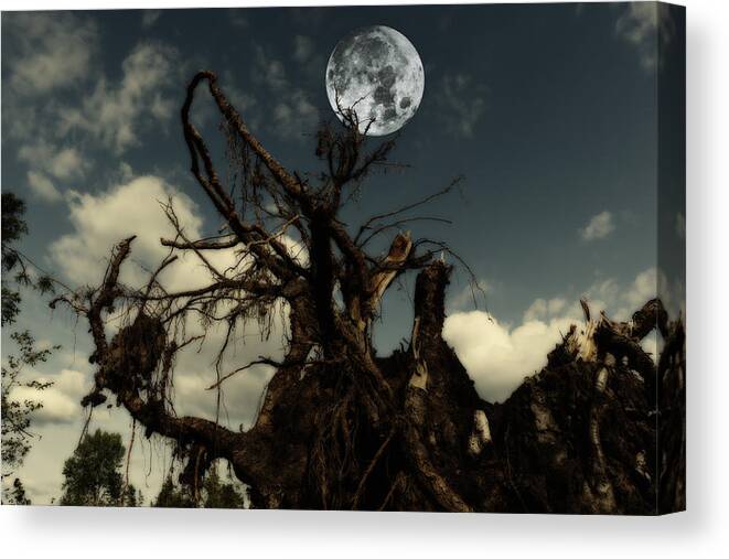 Trees Canvas Print featuring the photograph Lonely Tree Roots Reaching For A Full Moon by Christian Lagereek